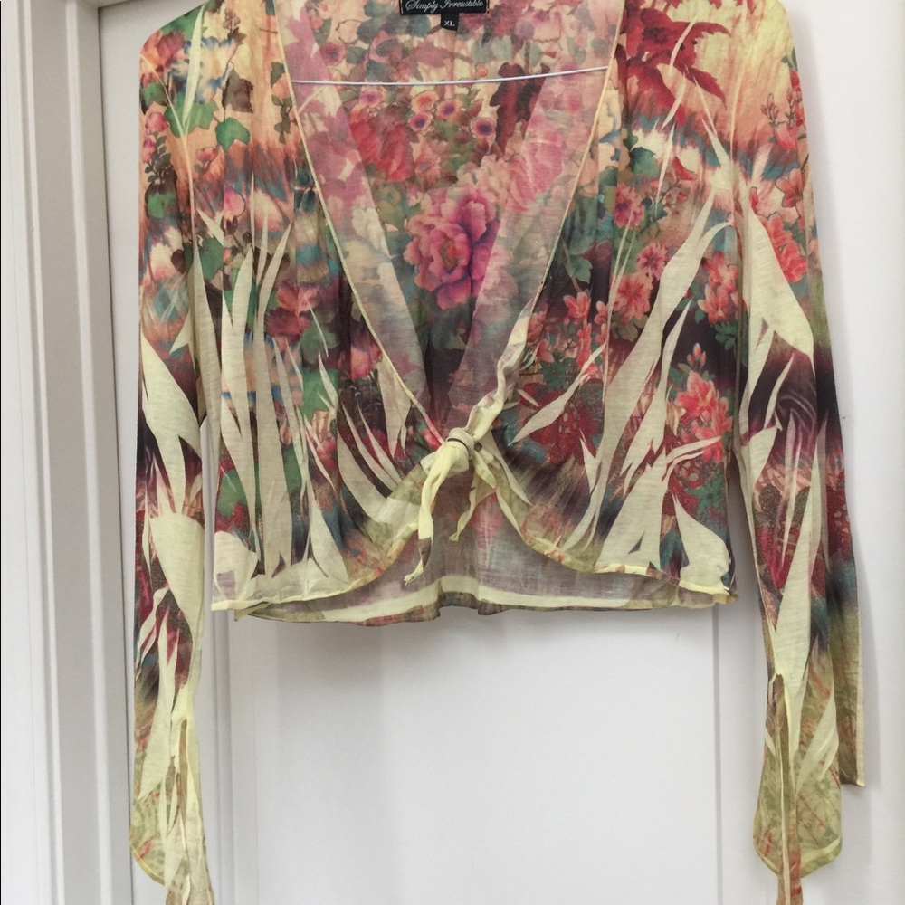 Beautiful Sheer top - Picture 4 of 8